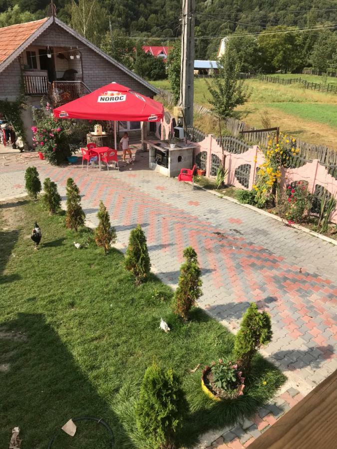 La Rita Acasă Hotel Lepşa Exterior foto